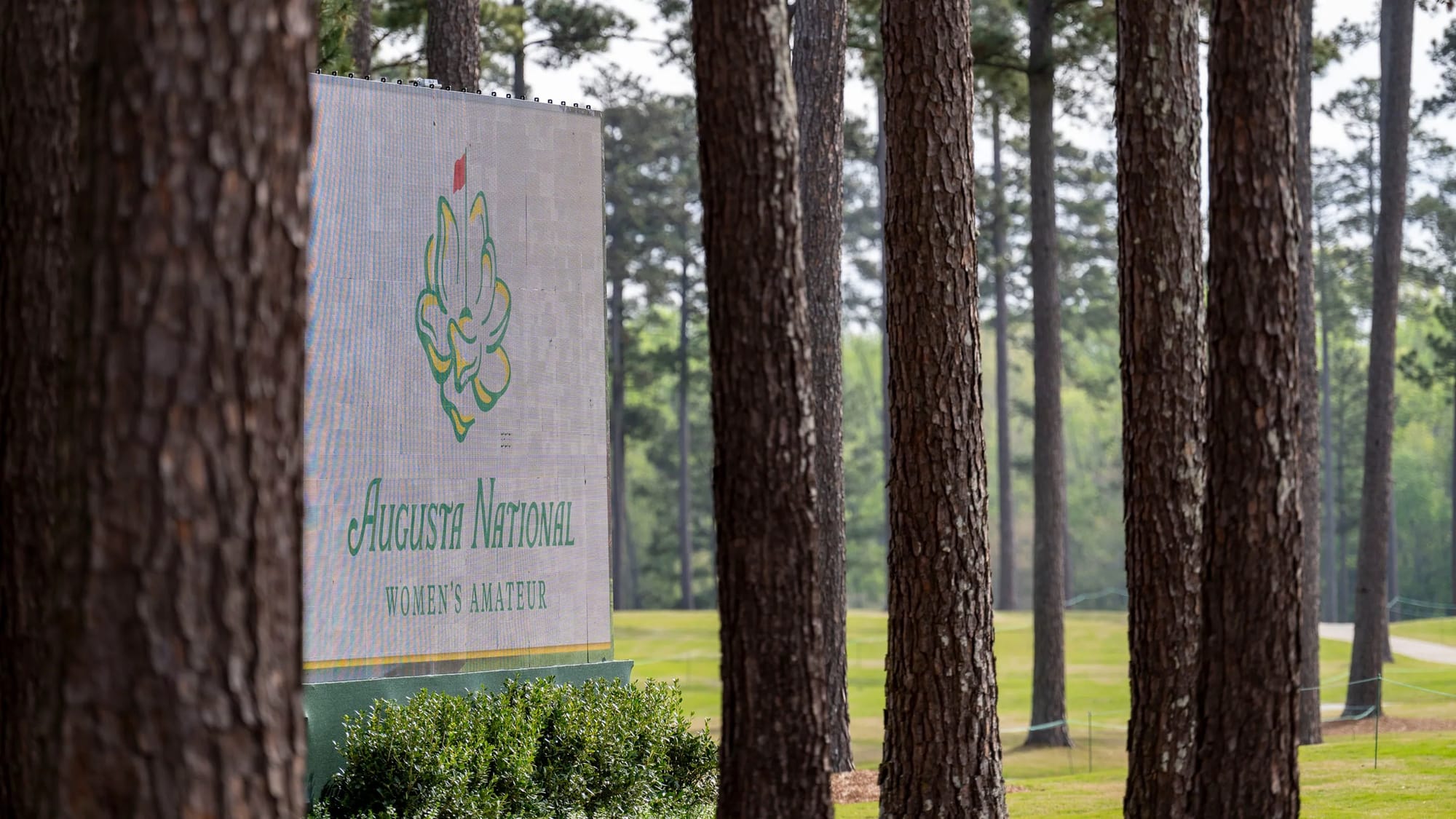 APGC's Patsy Hankins Trophy Stars Reunite at ANWA