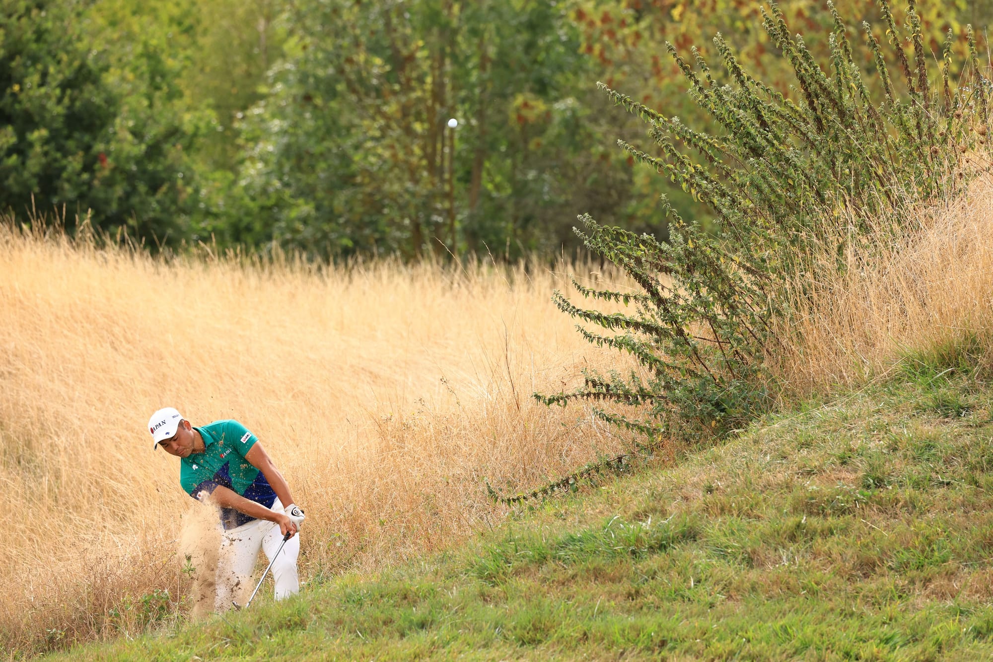 Disappointment for Japan as Italy Celebrates Victory