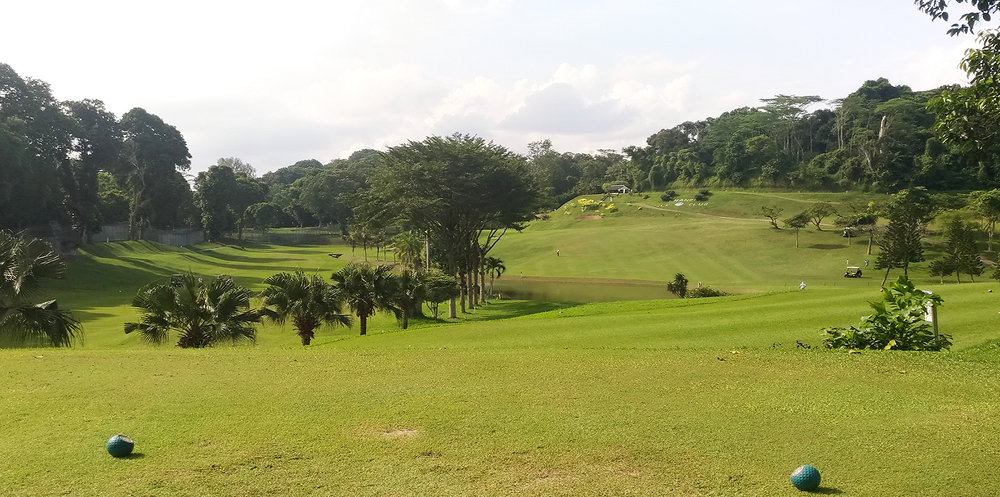 35th Singapore Open Senior Amateur Championship post image