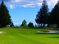New Zealand Men’s & Women’s Mid-Amateur Championships post image