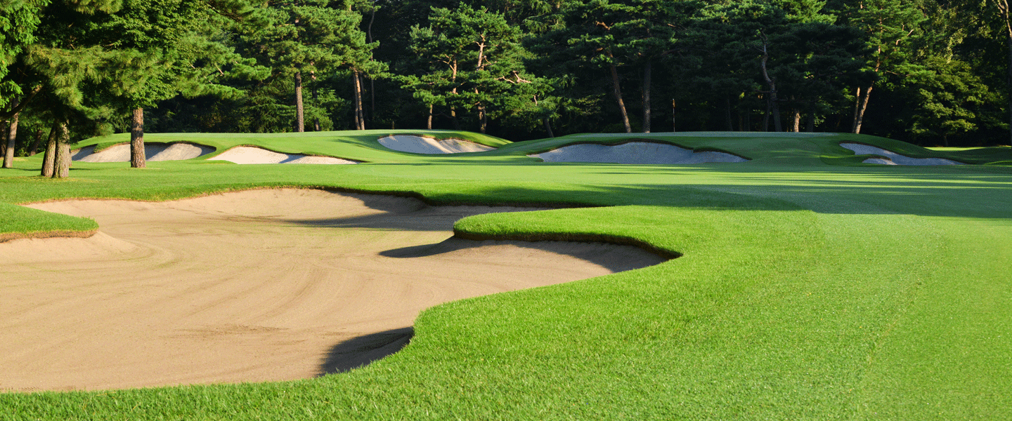 29th Japan Junior Championships (Ages 12 to 14) post image