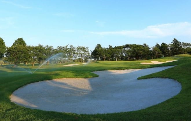 The Royal Junior post image