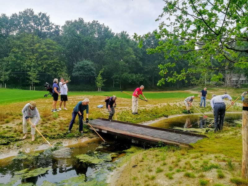 Embracing Sustainability and Climate Action post image