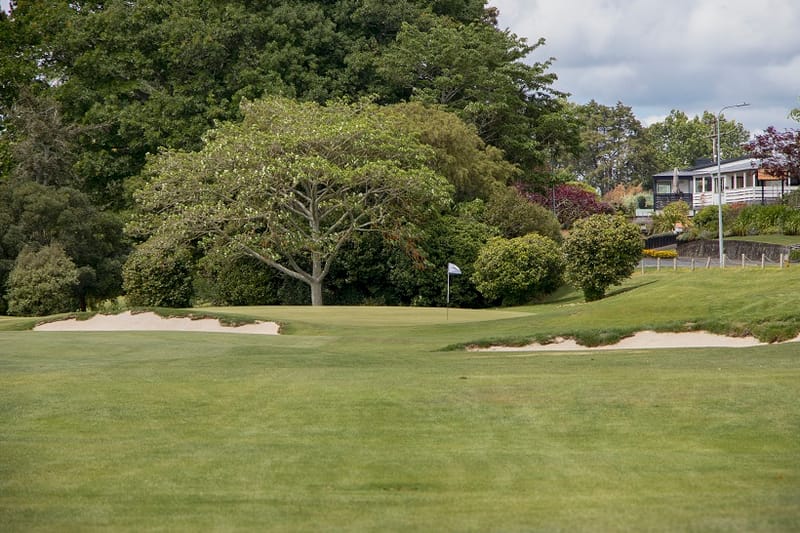 New Zealand Mid-Amateur Championship post image