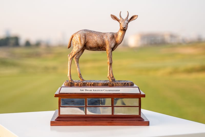 Opportunity Knocks at Abu Dhabi Amateur Championship post image