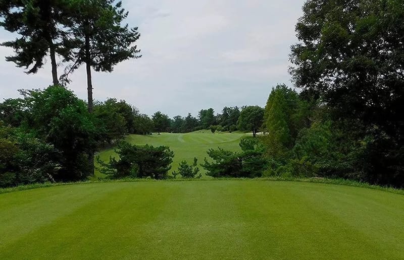 110th Japan Amateur Championship post image