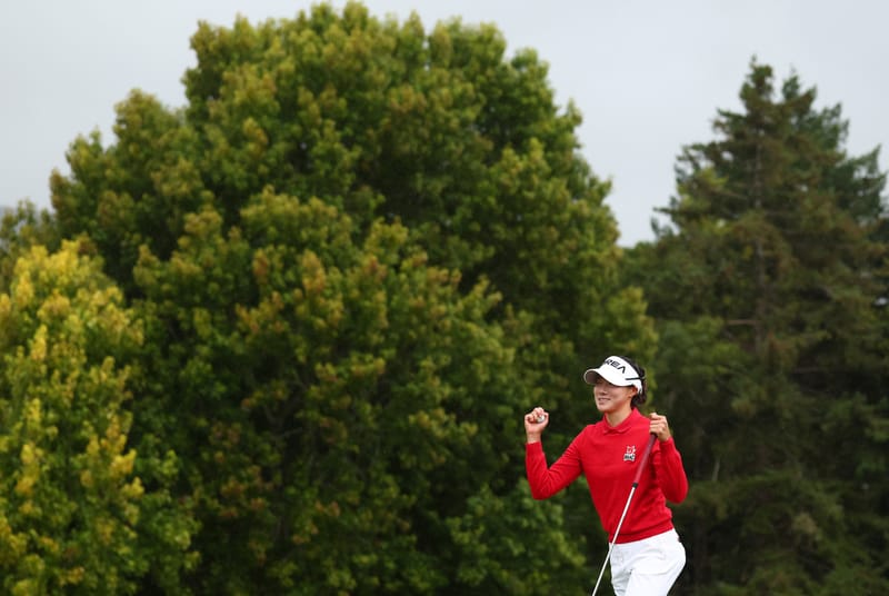 More Giant Leaps for Korean Teenager post image